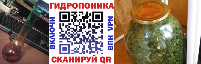 купить закладку Апатиты Конопля Ganja